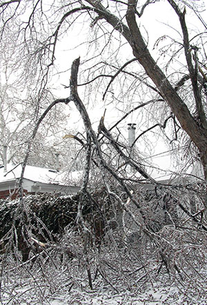 2005 Wichita ice storm