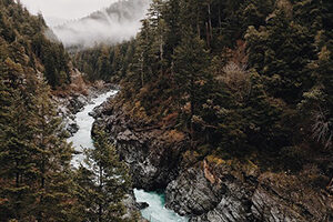 wilderness