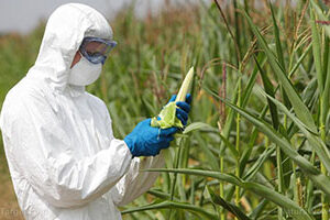 pesticide