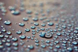 rain