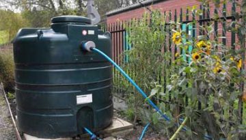 rainwater barrel