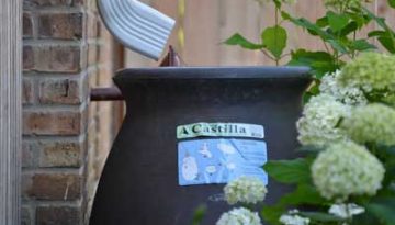 rainwater collection