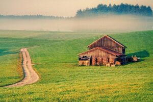 homestead2