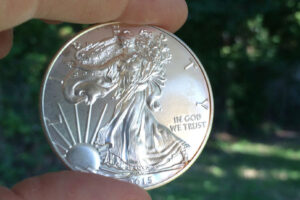 silver eagle