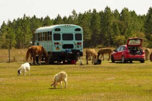 prepper community